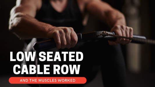 How do you do a low seated cable row and muscles worked