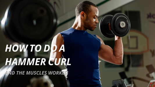 How to do a proper hammer curl and the muscles worked