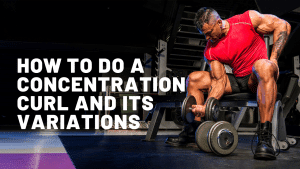 Read more about the article How to do a concentration curl and its variations