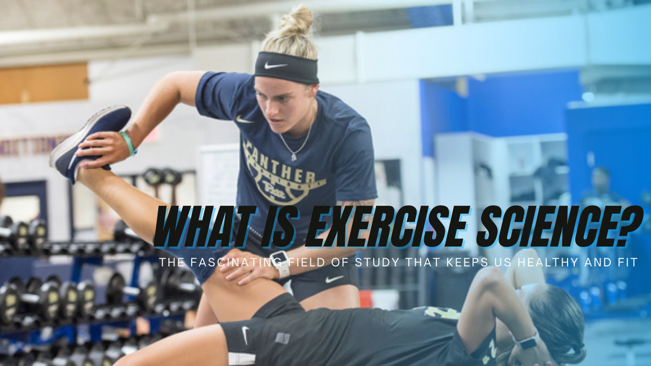 exercise-science-b-s-university-of-new-haven