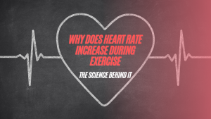 Read more about the article Why Does Heart Rate Increase During Exercise – The Science Behind It