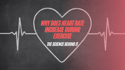 Why Does Heart Rate Increase During Exercise – The Science Behind It