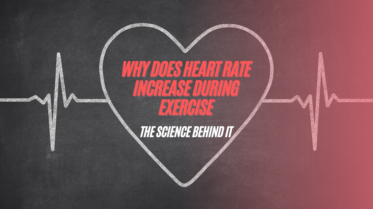 Why Does My Heart Rate Slow Down When I Exercise