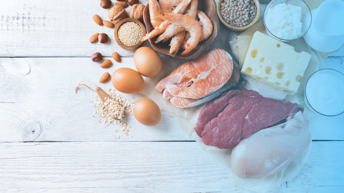 why protein is impt to body