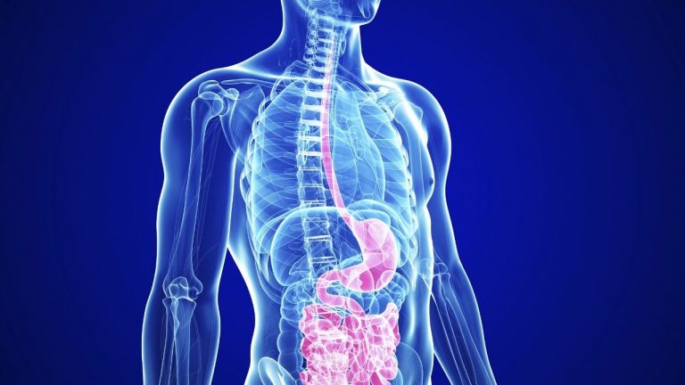 The Benefits of Good Gut Health - How to Improve Your Digestive System
