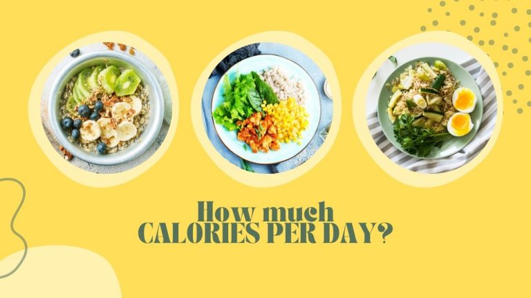 how much calories per day