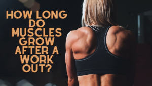 Read more about the article How Long Do Muscles Grow After a Workout