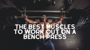 Read more about the article The Best Muscles to Work Out on a Bench Press