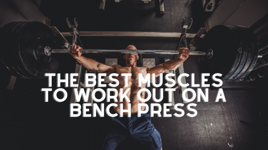 The Best Muscles to Work Out on a Bench Press